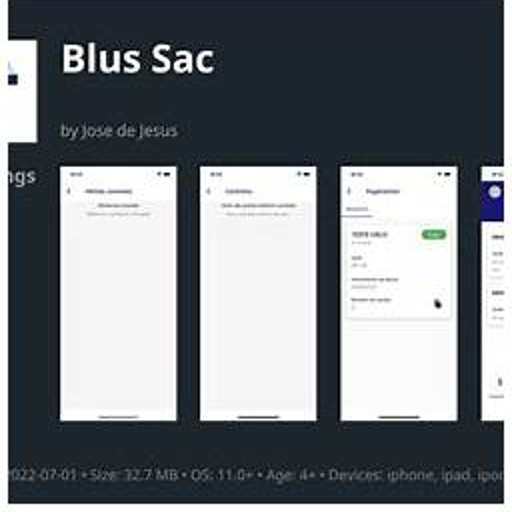Blus Sac